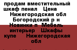 продам вместительный шкаф-пенал › Цена ­ 2 000 - Нижегородская обл., Богородский р-н, Новинки п. Мебель, интерьер » Шкафы, купе   . Нижегородская обл.